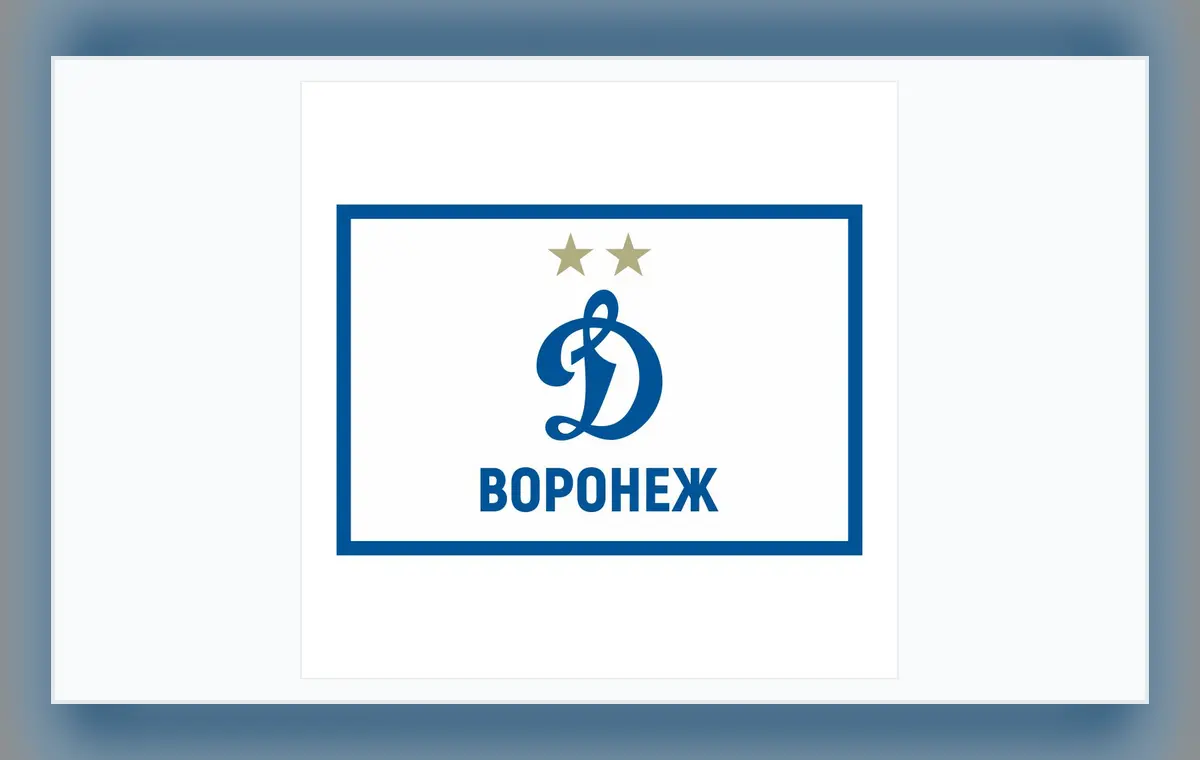 Макет флага Динамо Воронеж